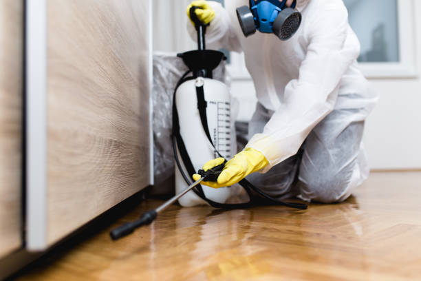 Pest Control Cost in Double Springs, AL