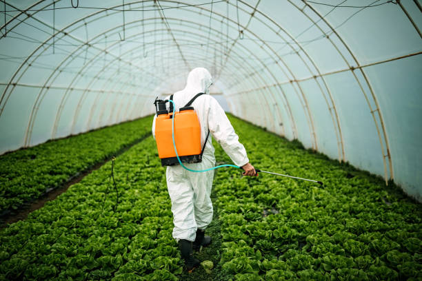 Best Mosquito Control Services  in Double Springs, AL