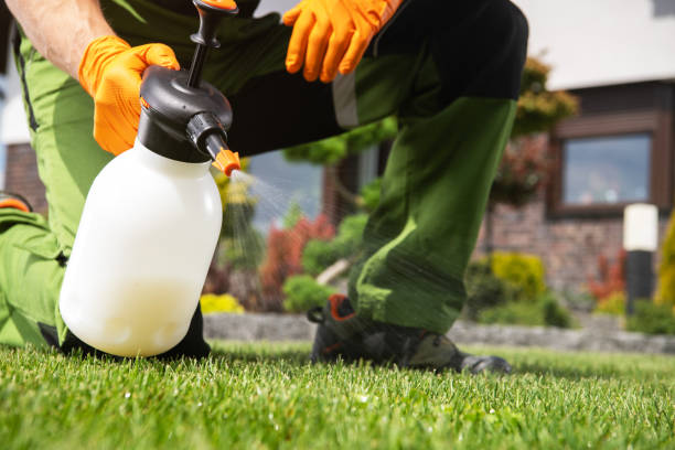 Best Emergency Pest Control  in Double Springs, AL