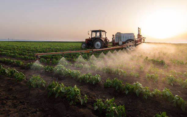 Reliable Double Springs, AL Pest Control Solutions