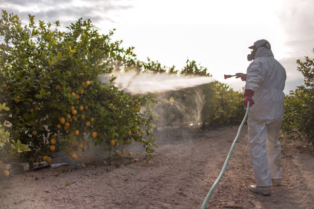 Best Residential Pest Control  in Double Springs, AL