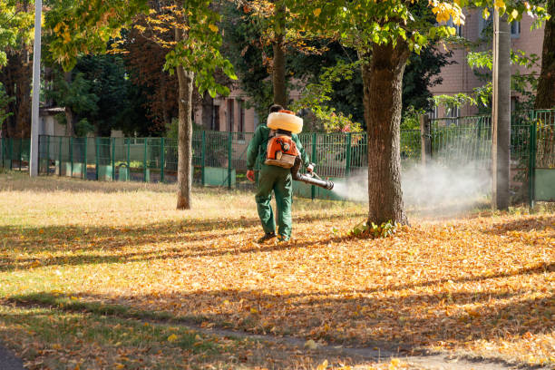 Best Pest Removal Services  in Double Springs, AL