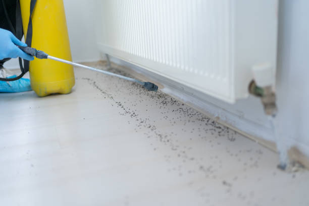 Best Best Pest Control Companies  in Double Springs, AL