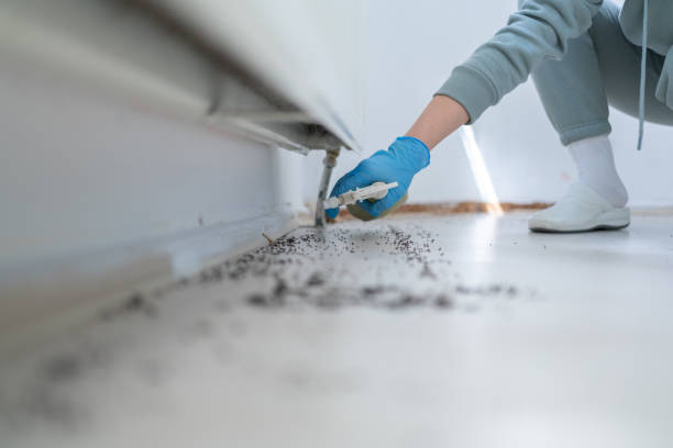 Best Affordable Pest Control Services  in Double Springs, AL